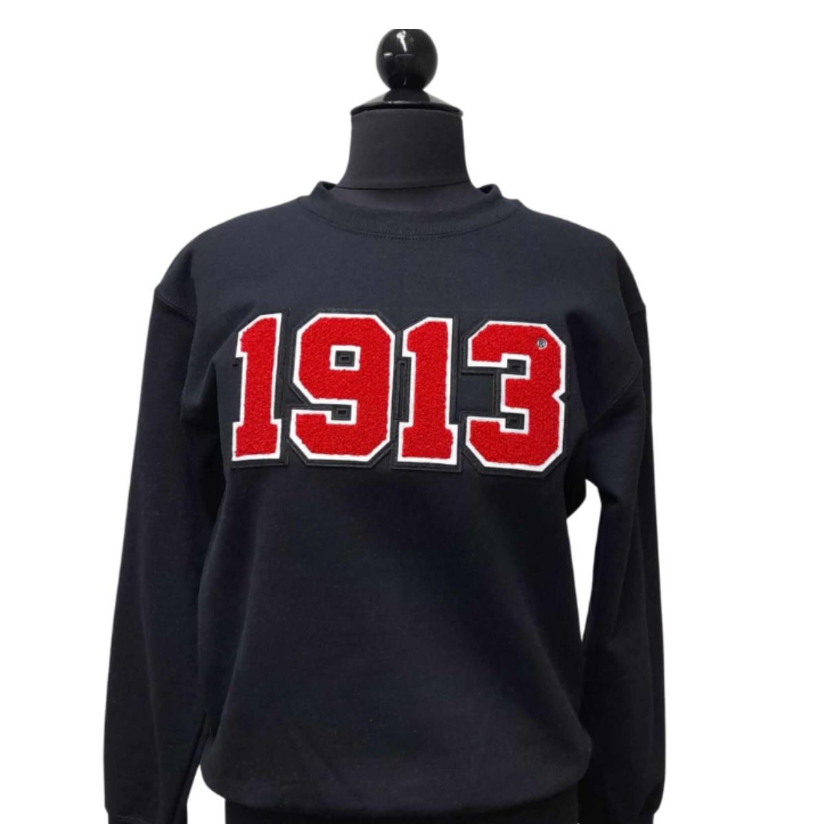 1913 Chenille Sweatshirts